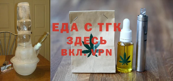 индика Алексин