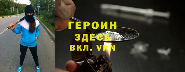 индика Алексин
