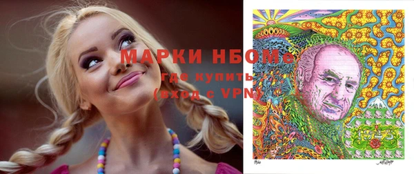 индика Алексин