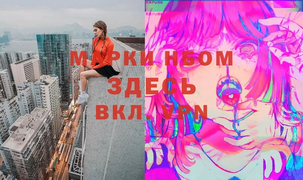индика Алексин