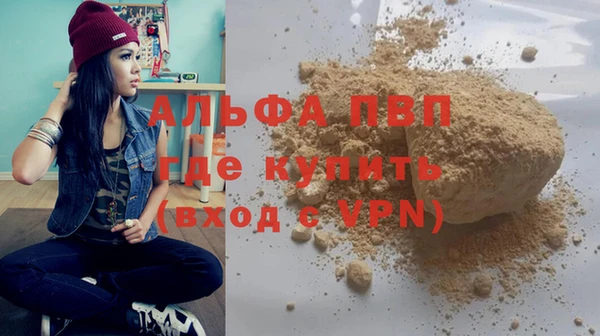 индика Алексин