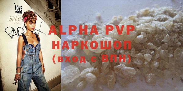 индика Алексин