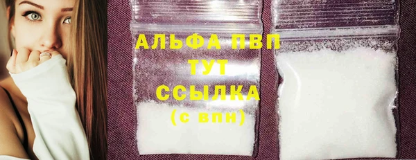 индика Алексин