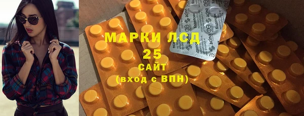 индика Алексин
