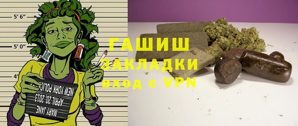 индика Алексин