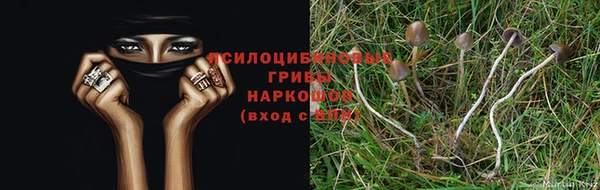 наркотики Алексеевка