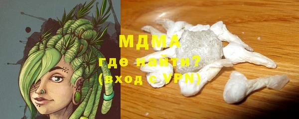 индика Алексин