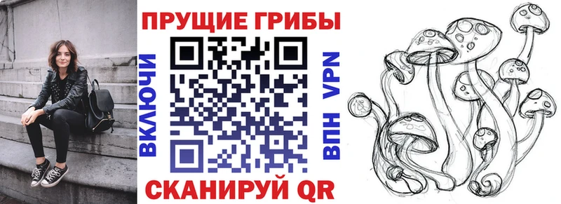 Псилоцибиновые грибы Magic Shrooms  Добрянка 
